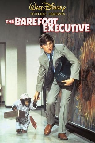 The Barefoot Executive poster art