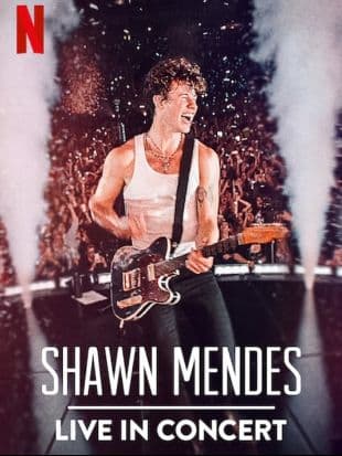 Shawn Mendes: Live in Concert poster art