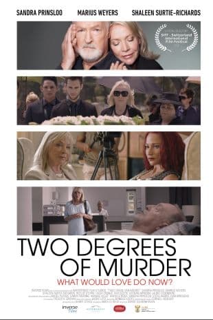 Two Degrees of Murder poster art