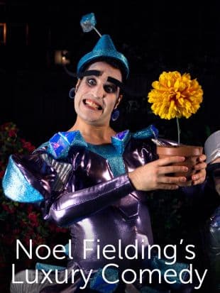 Noel Fielding's Luxury Comedy poster art