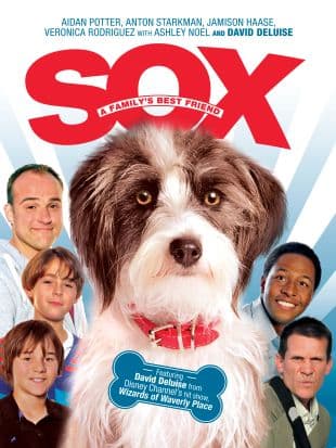 Sox poster art