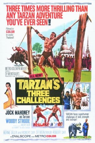 Tarzan's Three Challenges poster art