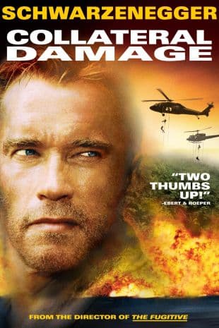 Collateral Damage poster art