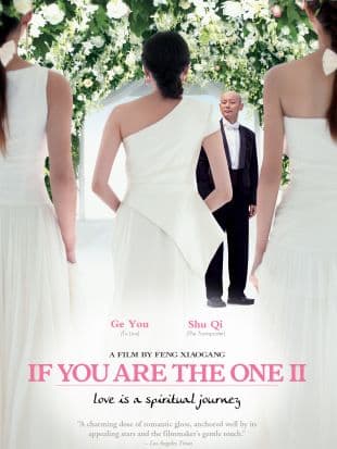 If You Are the One II poster art