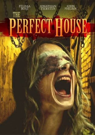 The Perfect House poster art