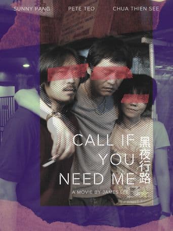 Call If You Need Me poster art