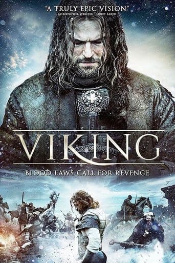 Viking poster art