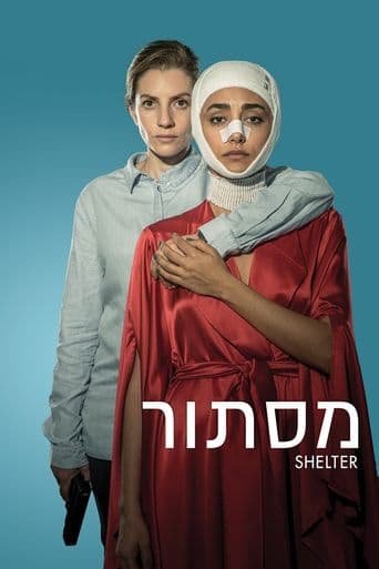 Shelter poster art