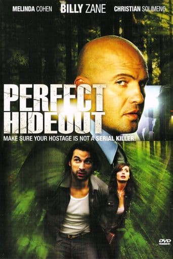 Perfect Hideout poster art