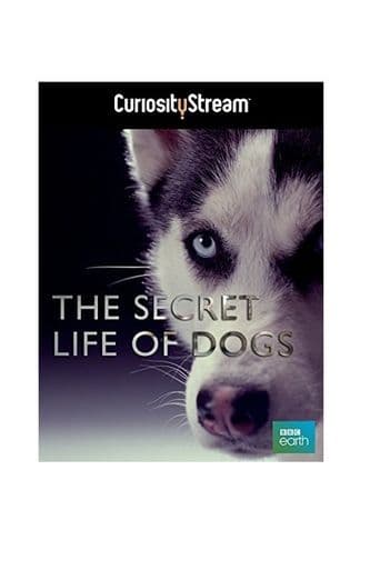 The Secret Life of Dogs poster art