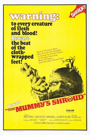 The Mummy's Shroud poster art