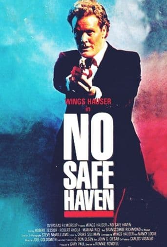 No Safe Haven poster art