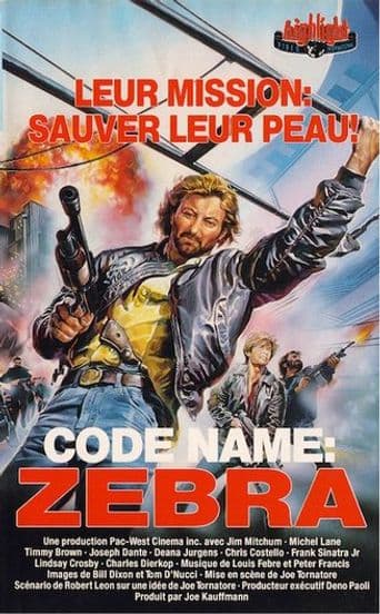 Code Name Zebra poster art