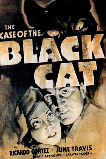 The Case of the Black Cat poster art