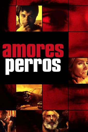 Amores Perros poster art