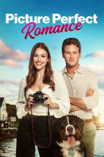 Picture Perfect Romance poster art