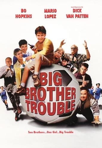 Big Brother Trouble poster art