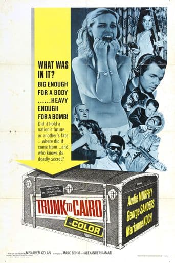 Trunk to Cairo poster art