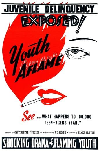 Youth Aflame poster art