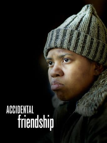 Accidental Friendship poster art