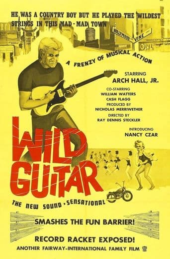 Wild Guitar poster art