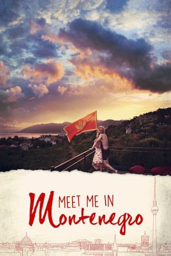 Meet Me in Montenegro poster art