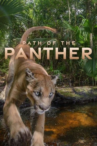Path of the Panther poster art