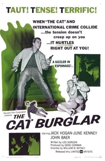 The Cat Burglar poster art