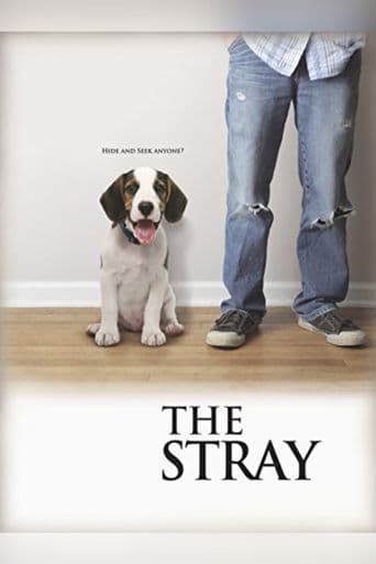 The Stray poster art