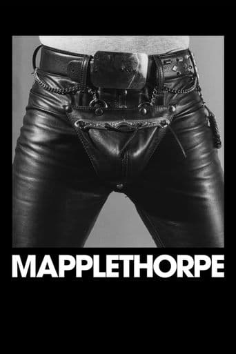 Mapplethorpe poster art