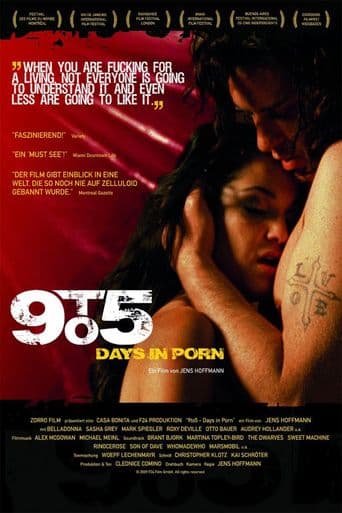 9 to 5: Days in Porn poster art