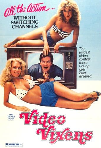 Video Vixens! poster art