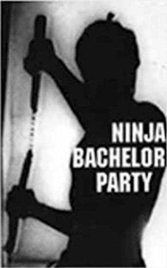 Ninja Bachelor Party poster art