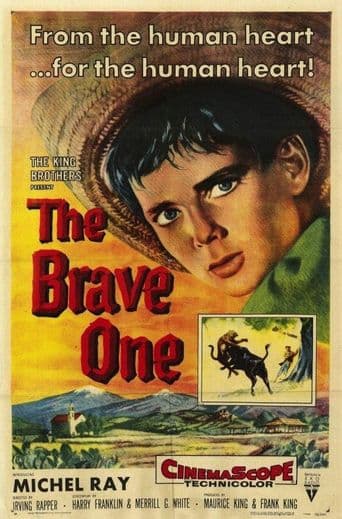 The Brave One poster art