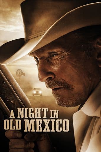 A Night in Old Mexico poster art