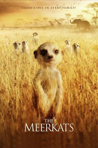 The Meerkats poster art