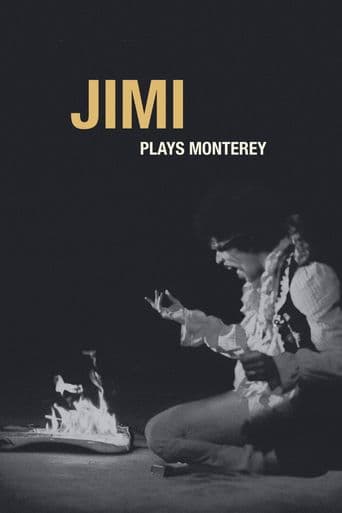 Jimi Plays Monterey poster art