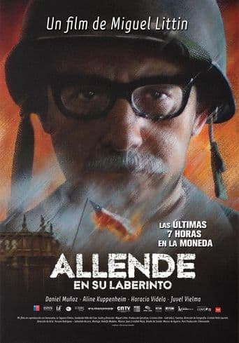 Allende en su laberinto poster art