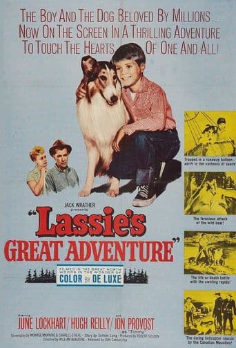 Lassie's Great Adventure poster art