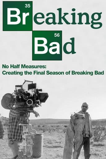 No Half Measures: Creating the Final Season of Breaking Bad poster art