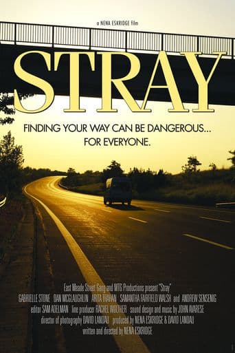 Stray poster art