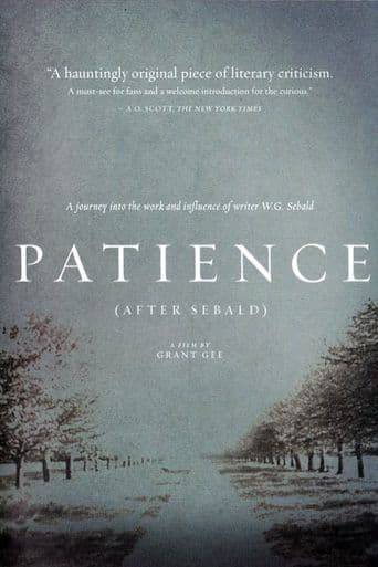 Patience (After Sebald) poster art