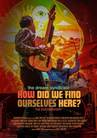 The Dream Syndicate: How Did We Find Ourselves Here? poster art