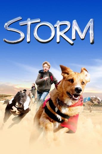 Storm poster art