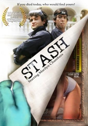 Stash poster art