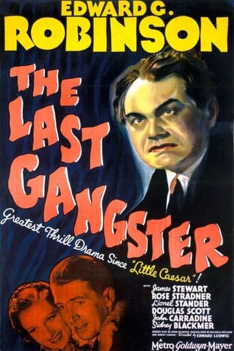 The Last Gangster poster art