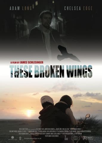 These Broken Wings poster art