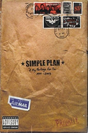 Simple Plan: A Big Package for You poster art