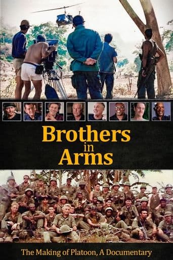 Platoon: Brothers in Arms poster art