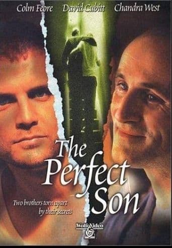 A Perfect Son poster art